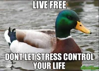 A duck in water with text saying "Live free, don't let stress control your life".