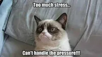 Grumpy cat is feeling stressed.