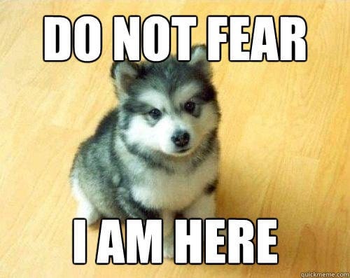 Cute husky puppy saying "do not fear, I am here"